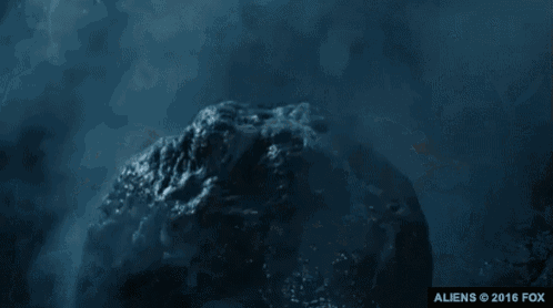 tenor.gif