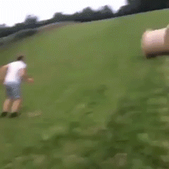 tumblr_p2mqp4U8mn1wiylv6o1_250.gif