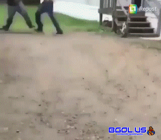 giphy.gif
