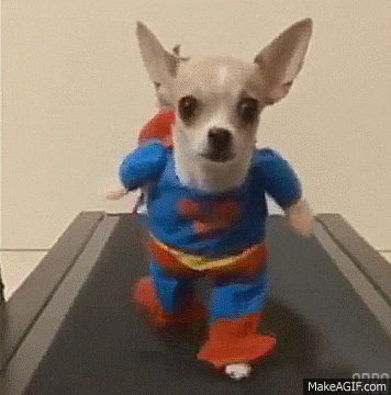 D49L3FpxqtQ3u.gif