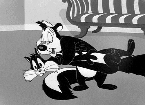 tumblr_mhz7hwsIUt1r6z04co1_500.gif