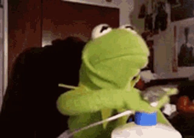 bad-kermit-kermit-the-frog.gif