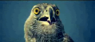 6sbqr7d.gif