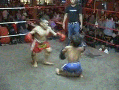 0fb759196d31f9be1bef542946e926e6.gif
