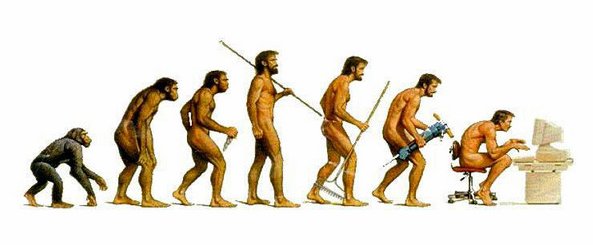 evolution2.jpg