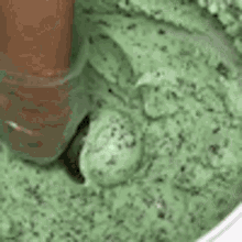 mint-chocolate-chip-mint.gif