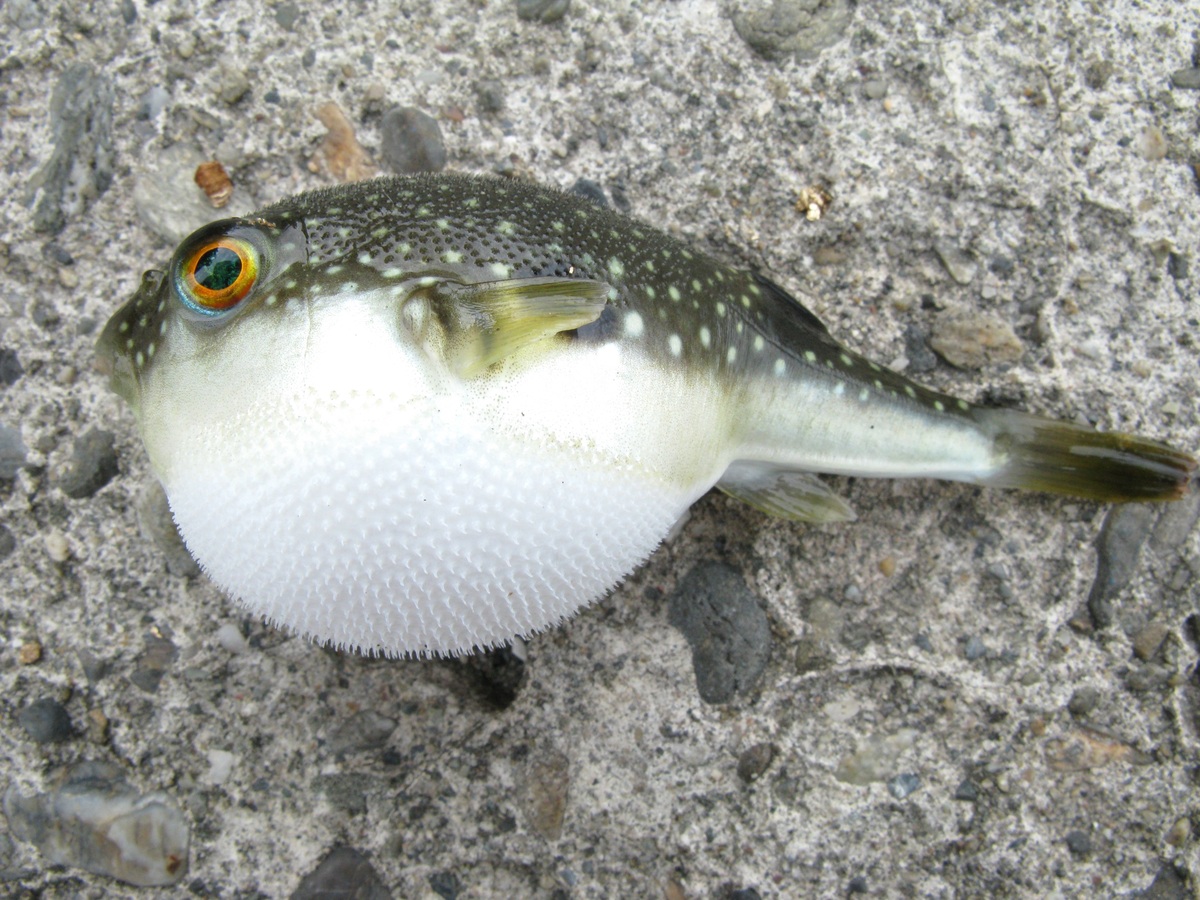 slide_319700_2974875_free.jpg