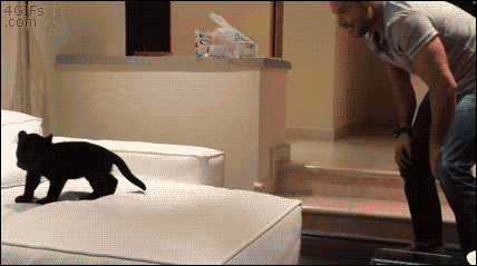 tumblr_nu30njflM41tlb56zo1_500.gif
