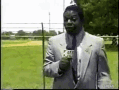 fly-flies-in-mount.gif