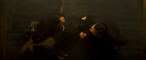 tumblr_p5bqtz3EZf1v6w3juo3_500.gif