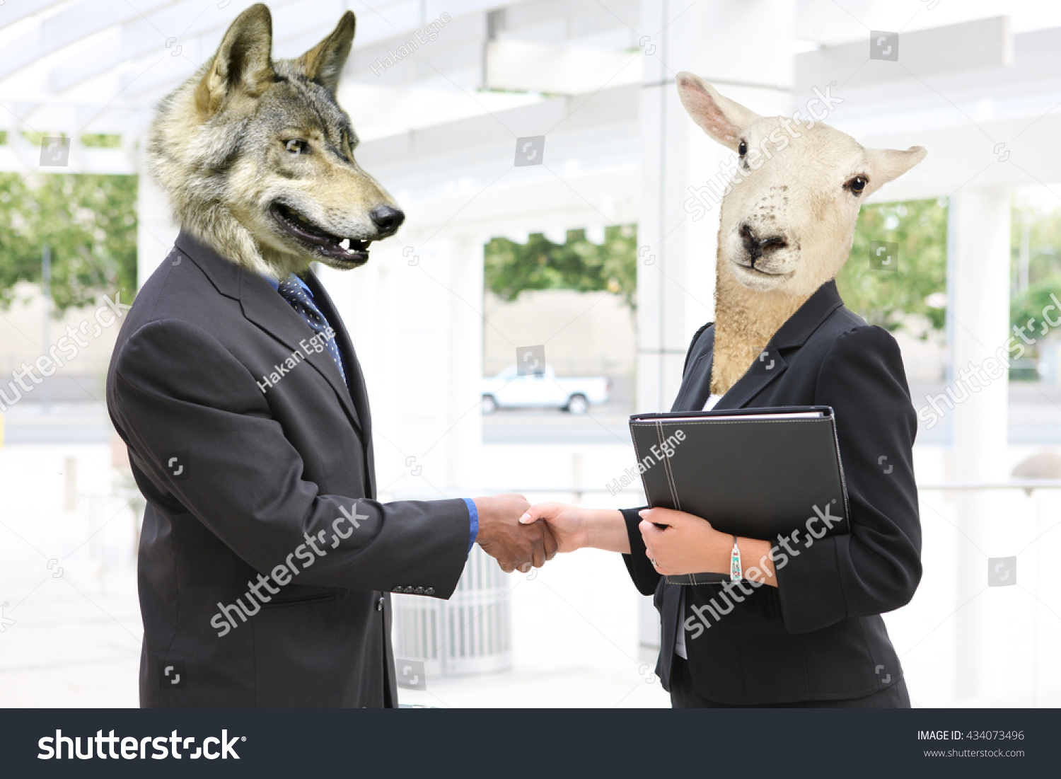 stock-photo-business-handshake-434073496.jpg