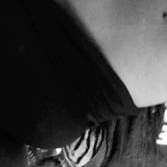 tumblr_osj64cquDc1wthx97o2_400.gif