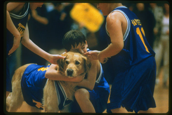 AirBud2.jpg