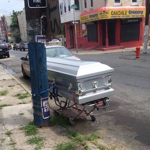 tumblr_oaa2bf9QNf1u1vkloo1_500.jpg
