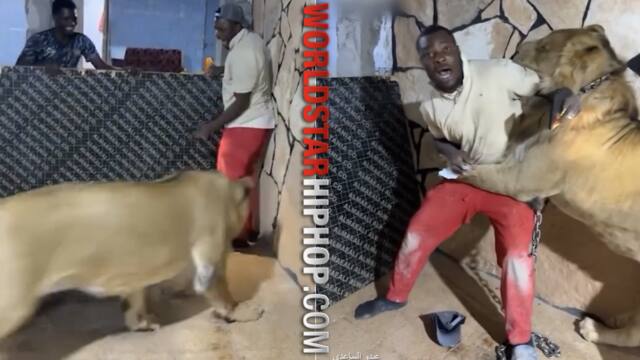 worldstar.com