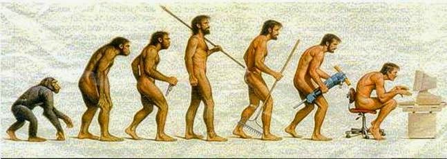 evolucion003.jpg