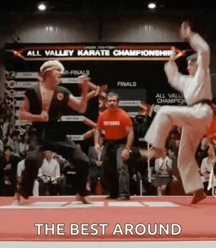 karate-kid-karate.gif