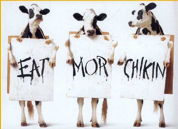 eat-mor-chikin1.jpg