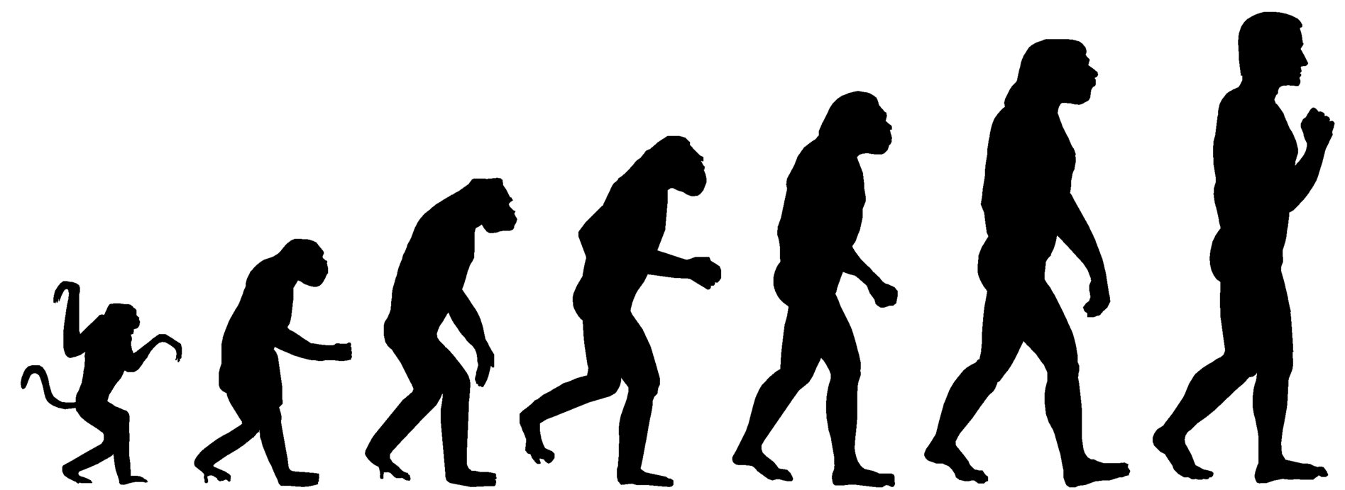 evoluzione.jpg