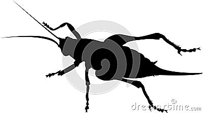 cricket-insect-silhouette-thumb7660377.jpg