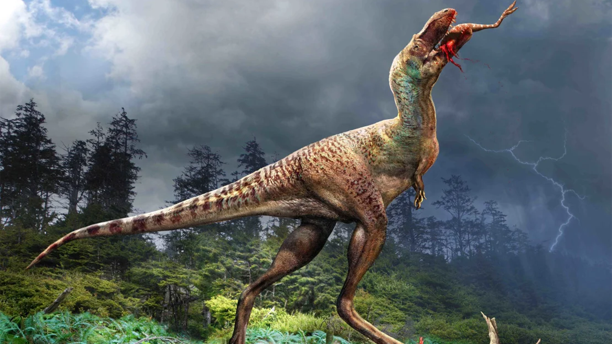 gorgosaurus-eating.png