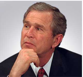 cut.row2.col4.bush.pic.jpg