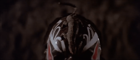 tumblr_p7dt479gcj1v6w3juo1_500.gif