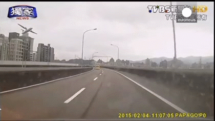 tumblr_nj9gkyDjPM1t0cscho1_500.gif