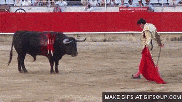 200.gif