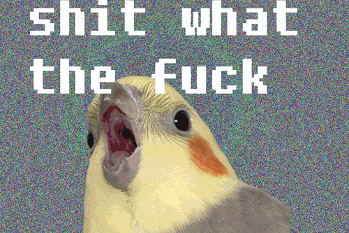 tumblr_mwt54cGPzc1sw5dqgo2_500.gif