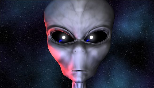 media-51135-183974.jpg