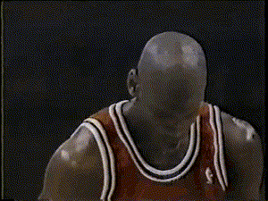 michaeljordan199349ptsv.gif