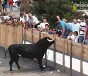 tumblr_maezqa1L2u1qdlh1io1_400.gif