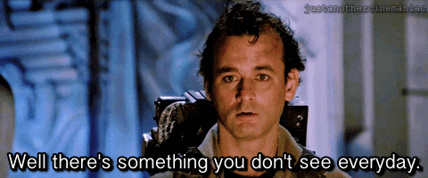 tumblr_oxkbonlfoM1rzoi3uo2_500.gif