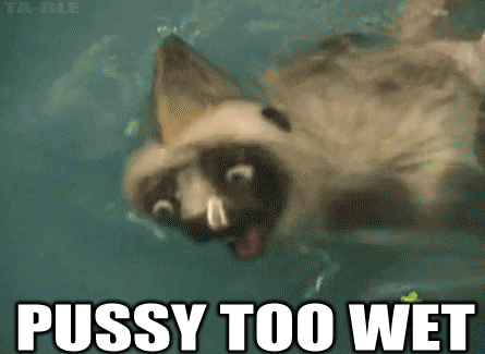 tumblr_m26sqxSsbF1r03eaxo1_500.gif