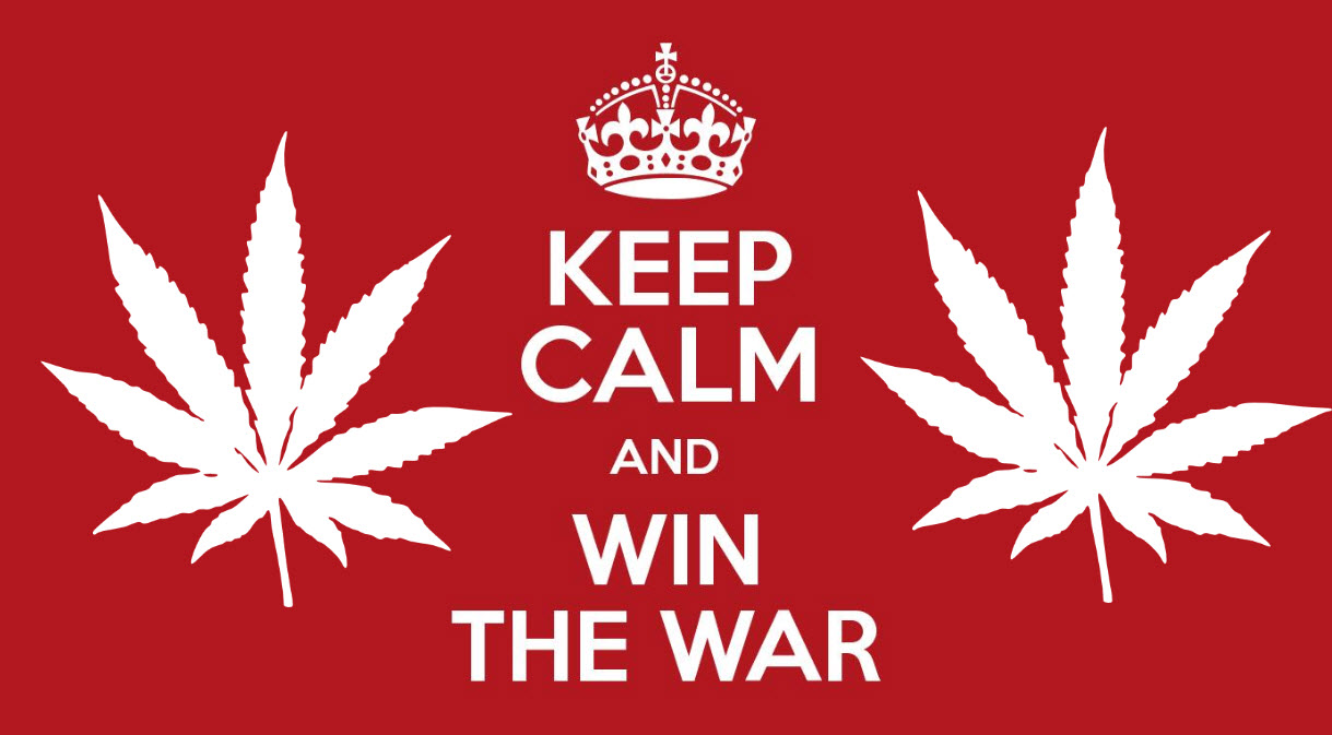 3743_Tcgv_winthewarondrugs.jpg