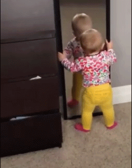 tumblr_nfwqjpDtqJ1svbttyo1_400.gif