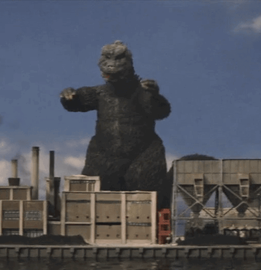tumblr_ok8jo1Dw9O1u8qr43o1_540.gif