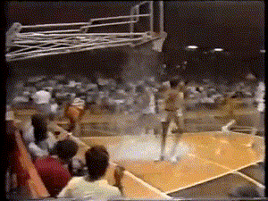 michaeljordanbreakstheg.gif