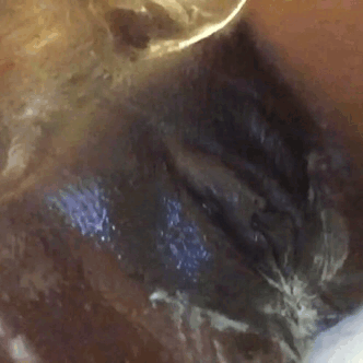 tumblr_ob1phtzn3y1vwf57go1_400.gif