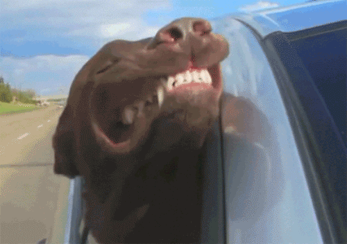 8351010f289f7f10c80d2c7fefe416b8.gif