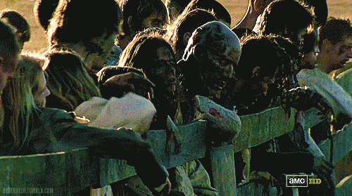 344fa16574885e0f976bc468ca2d37be.gif