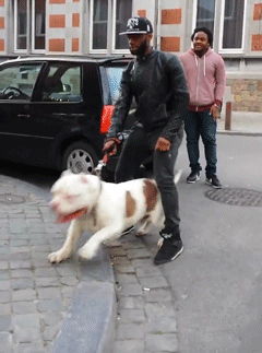 tumblr_n5skrlvgWD1r4atx9o1_250.gif