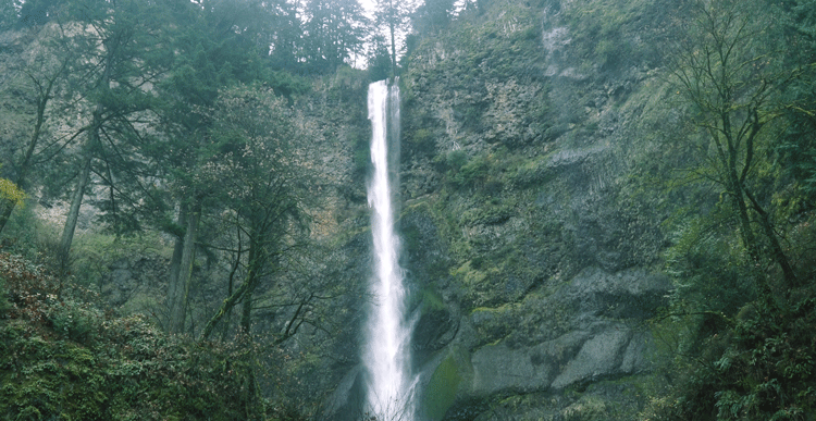 tumblr_oh2ahdiihX1qkprgpo2_1280.gif
