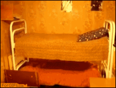 82505847.gif