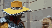 fly-guy-antonio-vargas.gif