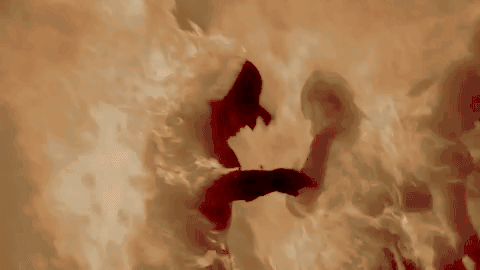 tumblr_ouarwoBlcf1toab2fo5_500.gif