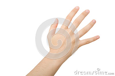 reaching-hands-5492109.jpg