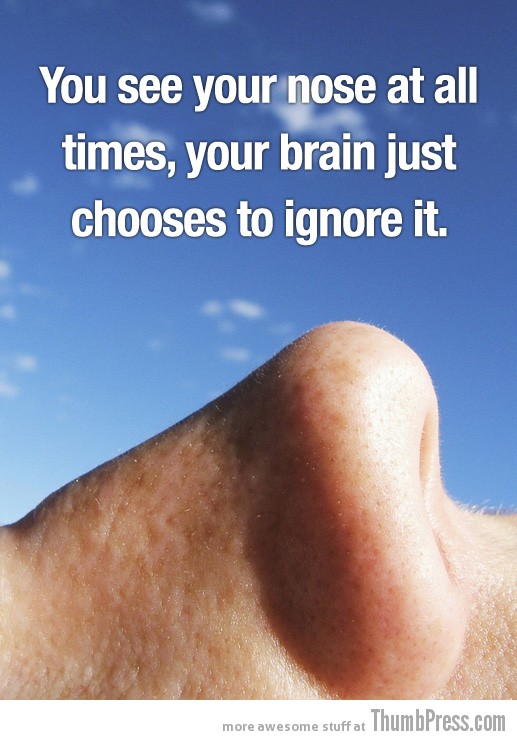 Mind-Blowing-Facts-17.jpg