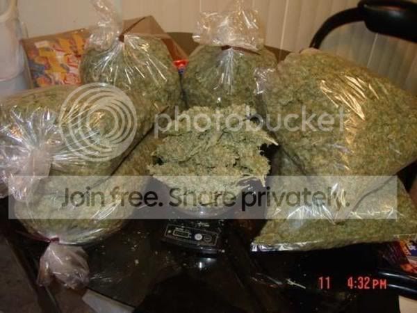 weed.jpg